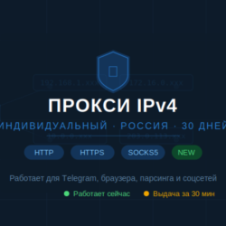 Индивидуальный прокси IPv4 Россия или любая другая страна — 30 дней (HTTP/SOCKS5)