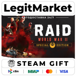 RAID: World War II Special Edition / Steam АВТО / РУ   МИР