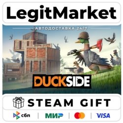 DUCKSIDE / Steam АВТО / РУ   МИР