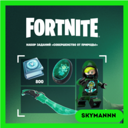 FORTNITE: Совершенство от природы   800 Vb XBOX/PC КЛЮЧ
