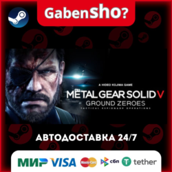 METAL GEAR SOLID V: GROUND ZEROES СТИМ Steam Gift