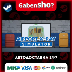 Airport X-Ray Simulator СТИМ Steam Gift