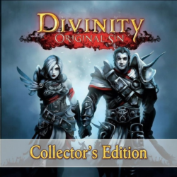 Divinity Original Sin Collector&acute;s Edition | Steam Ключ | РФ СНГ