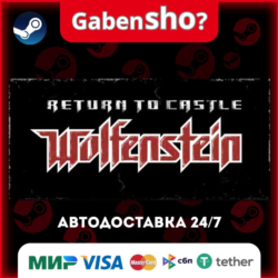 Return to Castle Wolfenstein СТИМ Steam Gift