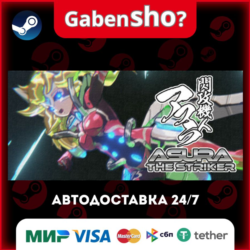 閃攻機人アスラ - ASURA THE STRIKER - СТИМ Steam Gift