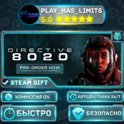 🎁Directive 8020 *RU/BY/UA/СНГ Steam Auto
