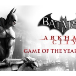 BATMAN: ARKHAM CITY - GAME OF THE YEAR EDITION [RU] (STEAM KEY / GLOBAL)