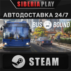 Bus Bound STEAM АВТОДОСТАВКА RU/KZ/UA/СНГ