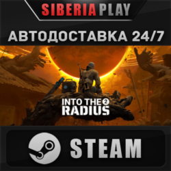 Into the Radius 2 STEAM АВТОДОСТАВКА RU/KZ/UA/СНГ