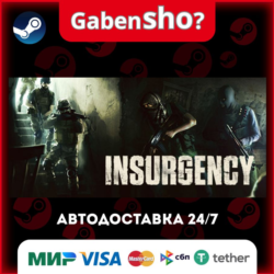 Insurgency СТИМ Steam Gift