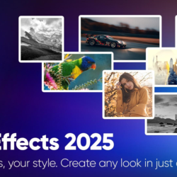 ON1 Effects 2025 | БЕССРОЧНАЯ ЛИЦЕНЗИЯ | macOS | Windows | АККАУНТ