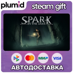 Spark in the Dark Steam Gift / Россия   МИР / АВТО