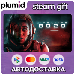 Directive 8020 Steam Gift / Россия   МИР / АВТО
