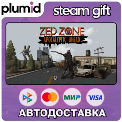 ZED ZONE Steam Gift / Россия   МИР / АВТО