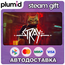 Stray Steam Gift / Россия   МИР / АВТО