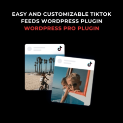 Advanced Ads Pro — Лучший рекламный плагин для WordPress