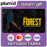 The Forest Steam Gift / Россия   МИР / АВТО