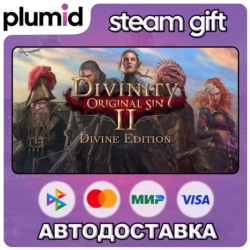 Divinity: Original Sin 2 - Divine Edition Steam Gift / Россия   МИР / АВТО