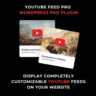 YouTube Feed Pro — плагин WordPress для YouTube ленты