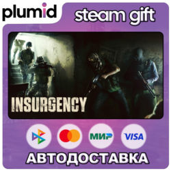 Insurgency Steam Gift / Россия   МИР / АВТО