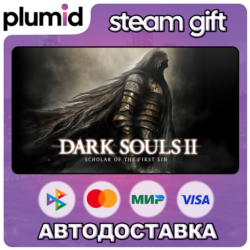 DARK SOULS II: Scholar of the First Sin Steam Gift / Россия   МИР / АВТО
