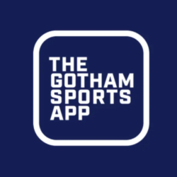 Лицензионный аккаунт Gotham Sport на 1-3 месяца