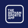 Лицензионный аккаунт Gotham Sport на 1-3 месяца