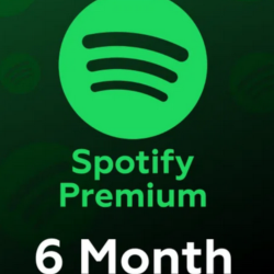 SPOTIFY PLATINUM 2.5 МЕСЯЦА НА ВАШ АККАУНТ