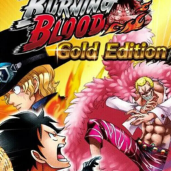 One Piece Burning Blood - Gold Edition (Steam/RU CIS)