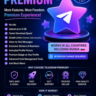 TELEGRAM PREMIUM SUBSCRIPTION Warranty 1 Year
