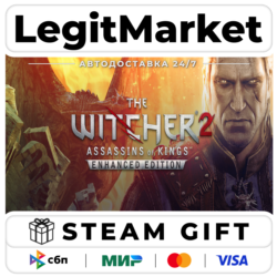The Witcher 2 / Steam АВТО / МИР