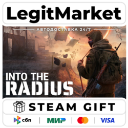 Into the Radius VR / Steam АВТО / РУ   МИР