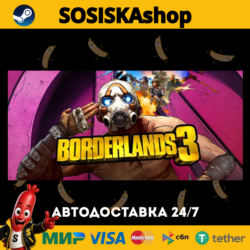 Borderlands 3   ВЫБОР РЕГИОНА STEAM