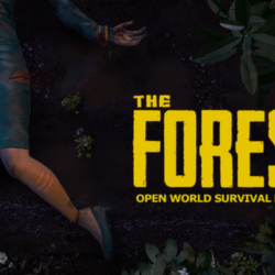 The Forest / Steam Account / Все регионы | АВТОВЫДАЧА 24/7