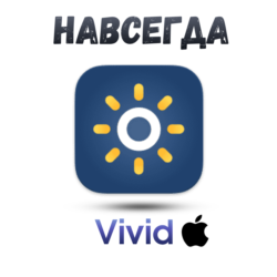Vivid Mac ключ активации навсегда