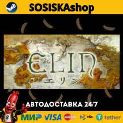 Elin   ВЫБОР РЕГИОНА STEAM