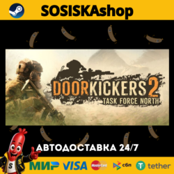 Door Kickers 2: Task Force North   ВЫБОР РЕГИОНА STEAM