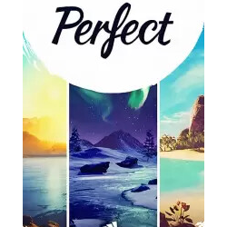 Perfect (Steam/ROW)