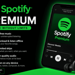 SPOTIFY PREMIUM INDIVIDUAL       1/ 3 / 6 / 9 / 12 МЕСЯЦЕВ  |   ЛЮБОЙ АККАУНТ