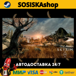 The Elder Scrolls V: Skyrim VR   ВЫБОР РЕГИОНА STEAM