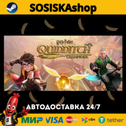 Harry Potter: Quidditch Champions   ВЫБОР РЕГИОНА STEAM