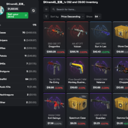 Автовыдача • CS 2 • Инвентарь $1,322.65 • Полный доступ • VAC