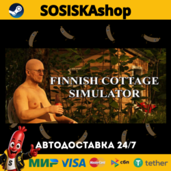 Finnish Cottage Simulator   ВЫБОР РЕГИОНА STEAM
