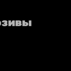 FN (все платформы) • 19 скинов • Merry mint axe • Freediver • Maya • Полный доступ