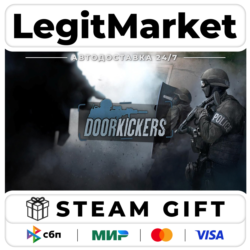 Door Kickers / Steam АВТО / РУ   МИР
