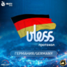 VPN Германия    (vless / tcp · xhttp) · 1-6m · DNS DoH