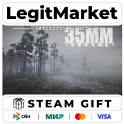 35MM / Steam АВТО / РУ   МИР