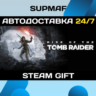Rise of the Tomb Raider - Standard Edition | STEAM GIFT | RU KZ UA CIS