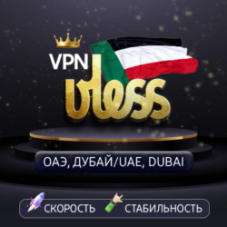 VPN Арабские Эмираты    (vless / tcp · xhttp) · 1-6m · DNS DoH