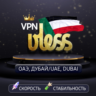 VPN Арабские Эмираты    (vless / tcp · xhttp) · 1-6m · DNS DoH